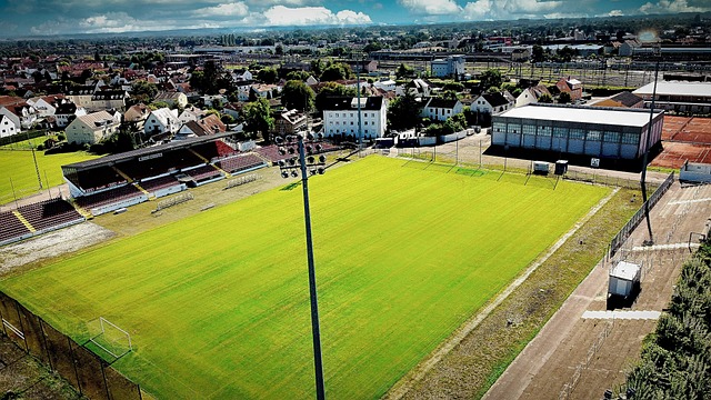 教练需要评 教练需要评