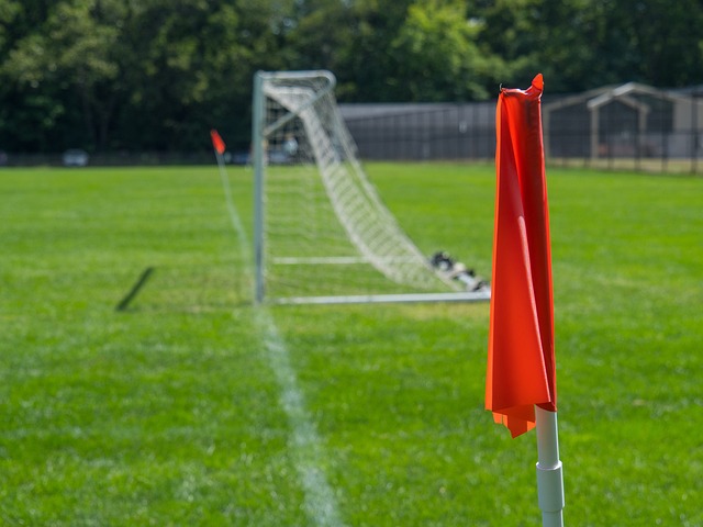 未来展望 未来展望