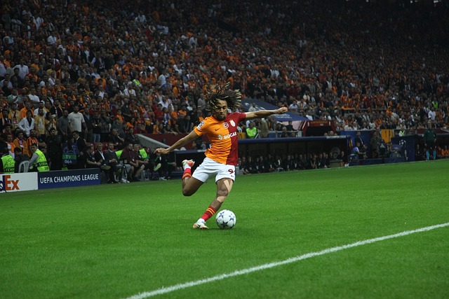 从老将董佳 从老将董佳