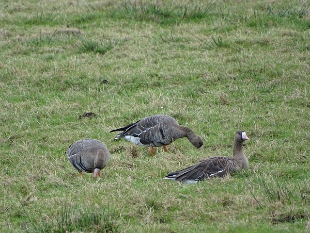 她用自己的 她用自己的