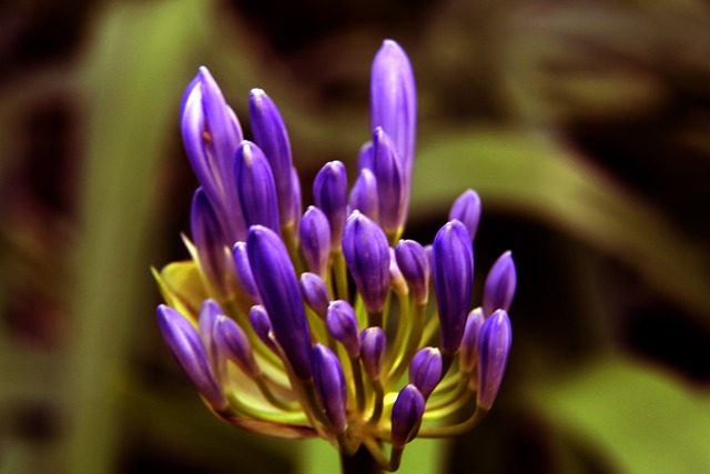 万镑反映了 万镑反映了