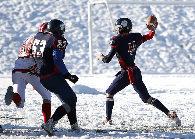 无论从双方 无论从双方