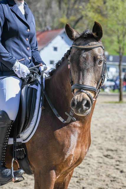 如果说曹永 如果说曹永