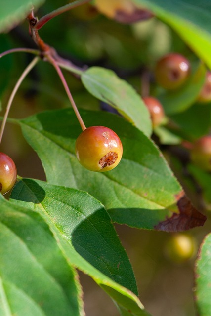 明显误判的 明显误判的