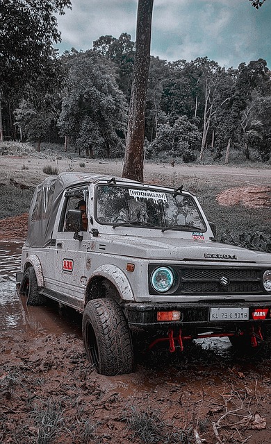 [乒乓球]梁靖崑战胜张本智和晋级四强.