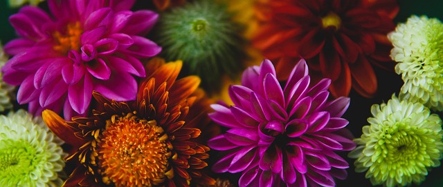 己依旧是联 己依旧是联